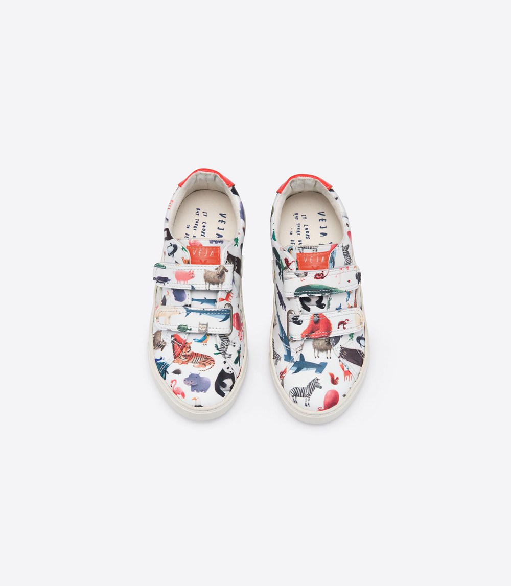 Veja Sneakers Kids - Esplar Velcro Leather - Multicolor - 4106LOPYR